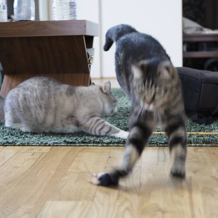 514a973c dd28 4a29 92e0 c3dc8ec0755d 1657536426459