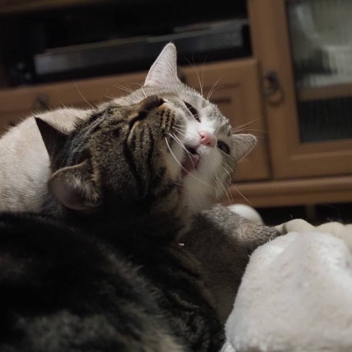 514a9c19 4dd2 42c8 8578 850c6e70aa63 1610803778923