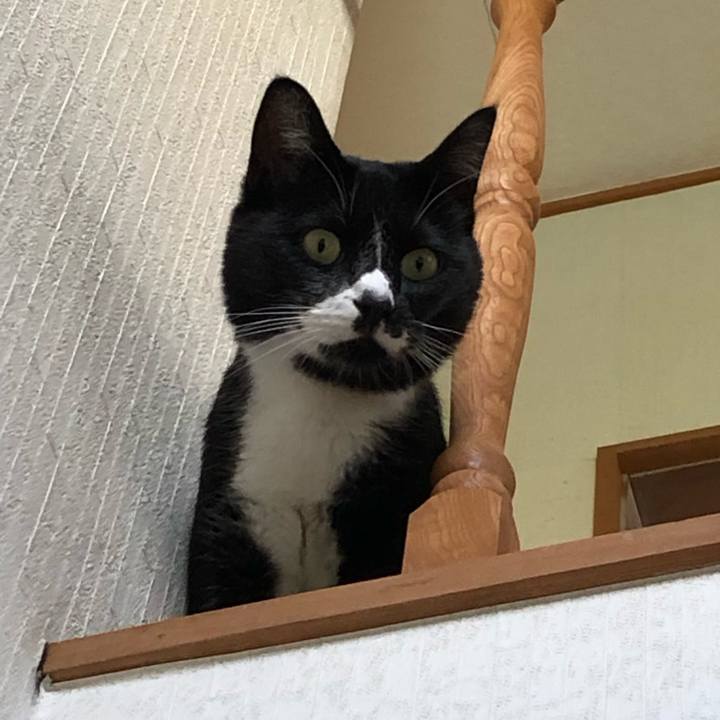 514abbb3 a67e 442f b28a 613f0a759db5 1601869643671