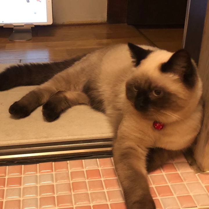 514afc05 c1dc 46d6 9c31 74f9b97c563a 1596024763099