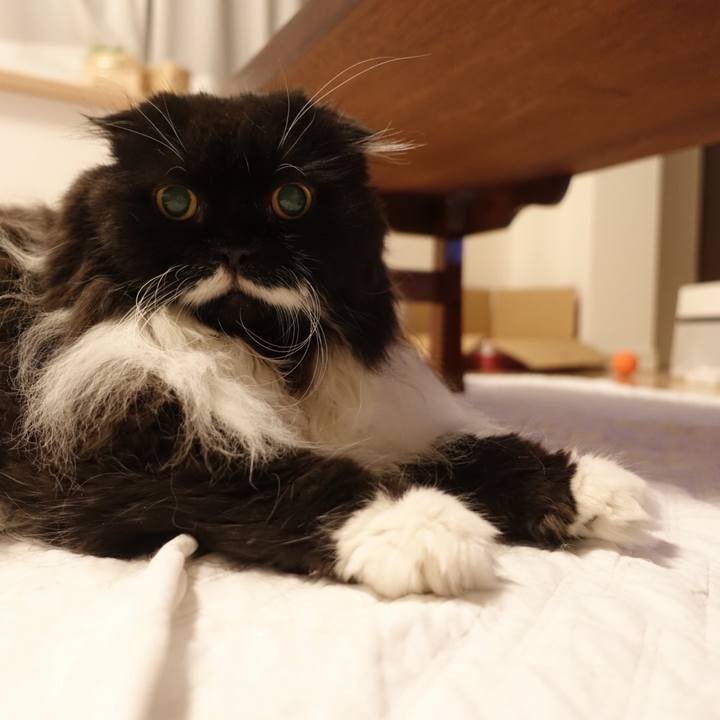 514b0f5a a46c 4da0 b9c6 e583a504741e 1527430333473