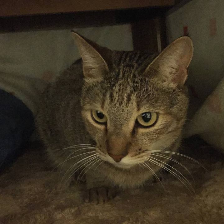 514b3e0b 06ac 404b b693 acc44fb3cb0c 1511257316720