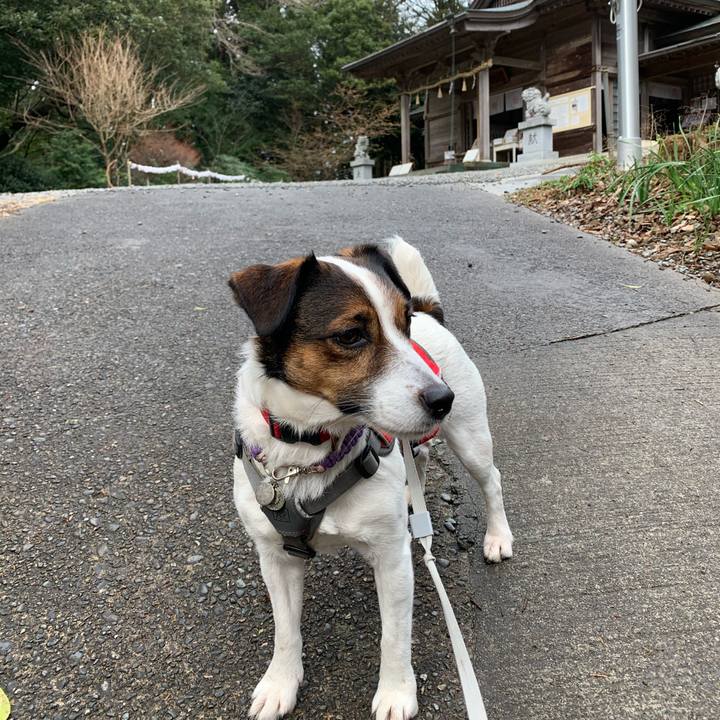 514b79f6 b1e2 4e29 96c5 7fb559752ae7 1581750076942