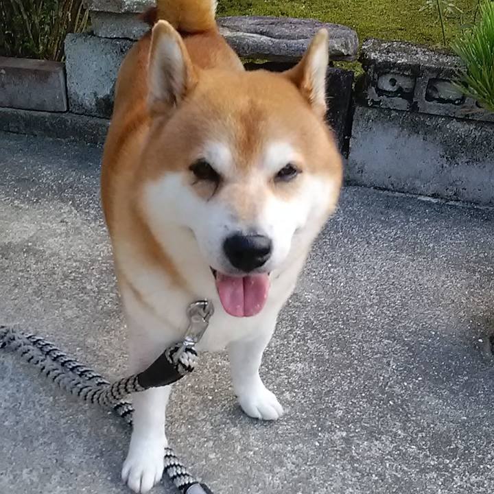 514b879a 7ee7 4b57 a9de 5fb85a35e19c 1662766975968