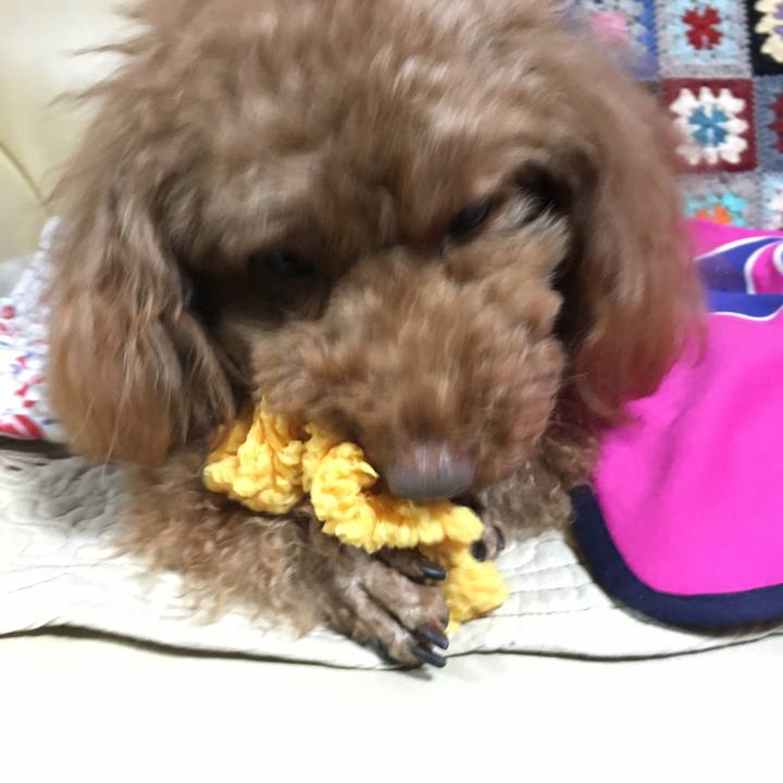 514b90d8 48db 4701 bdce b5c9dee6dfa4 1522802244830