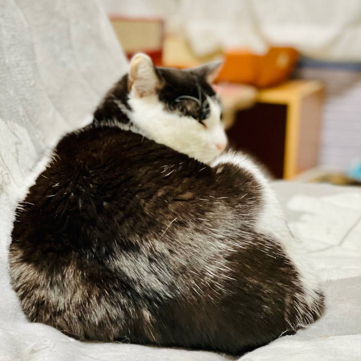 514be9cf 6871 441b 95e8 214a635b82a7 1607914437873