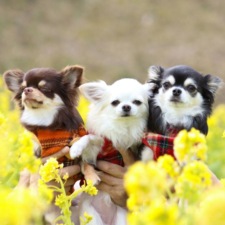 514c0ece acff 4ef2 a13a 0860bf118805 1770270648800