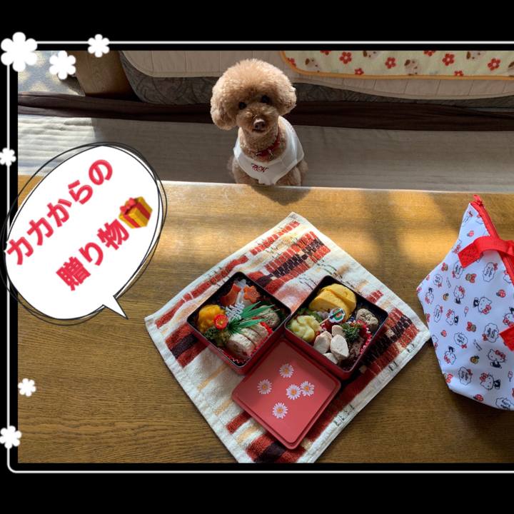 514c1dce 496d 4853 a6ee 4d5010b56453 1546235352266