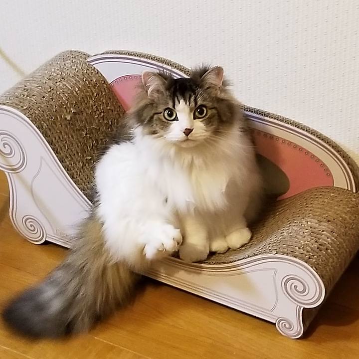 514c5083 e337 4057 9a8e f93c4eccb9e8 1583071984246