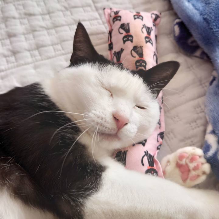 514c5bfb 9624 4060 a8ad 2ca367d5c3e0 1636081805832