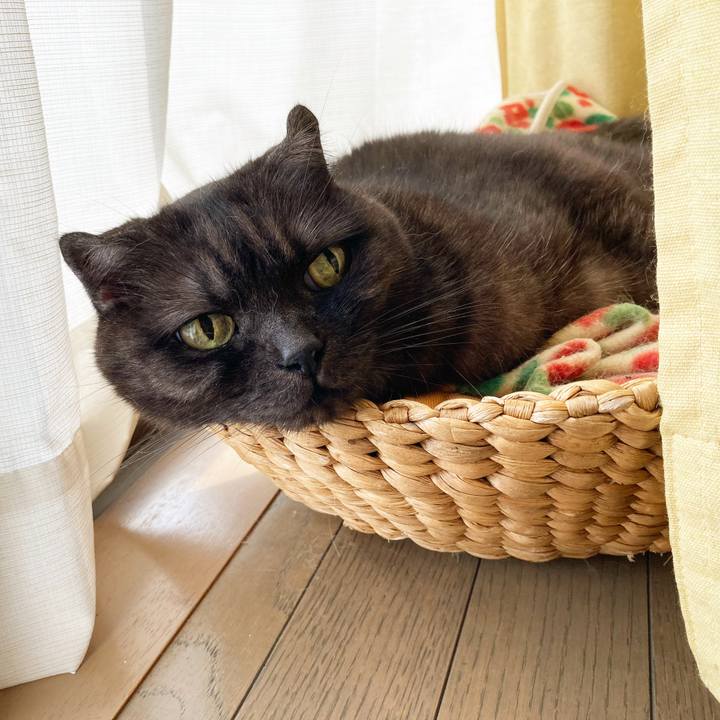 514c5c0f 8e4f 47ff be78 8cb458c828a3 1593439154850