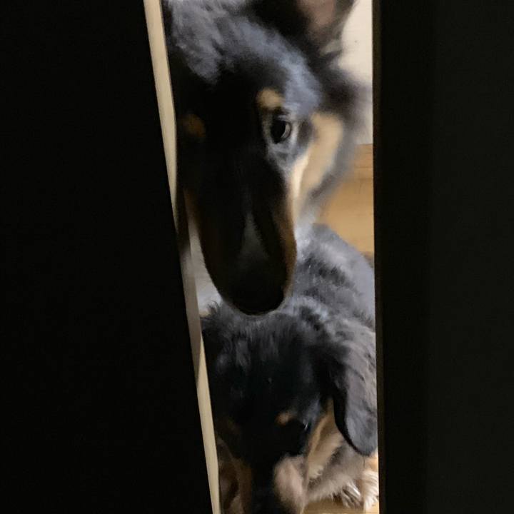 514c5d94 0db9 4717 8bec 72e540af21db 1575366620773