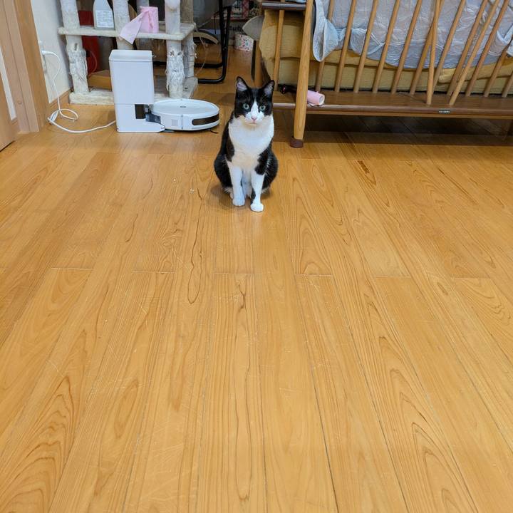 514c8708 627c 408e adaf 7aa757ee76f2 1757841544272