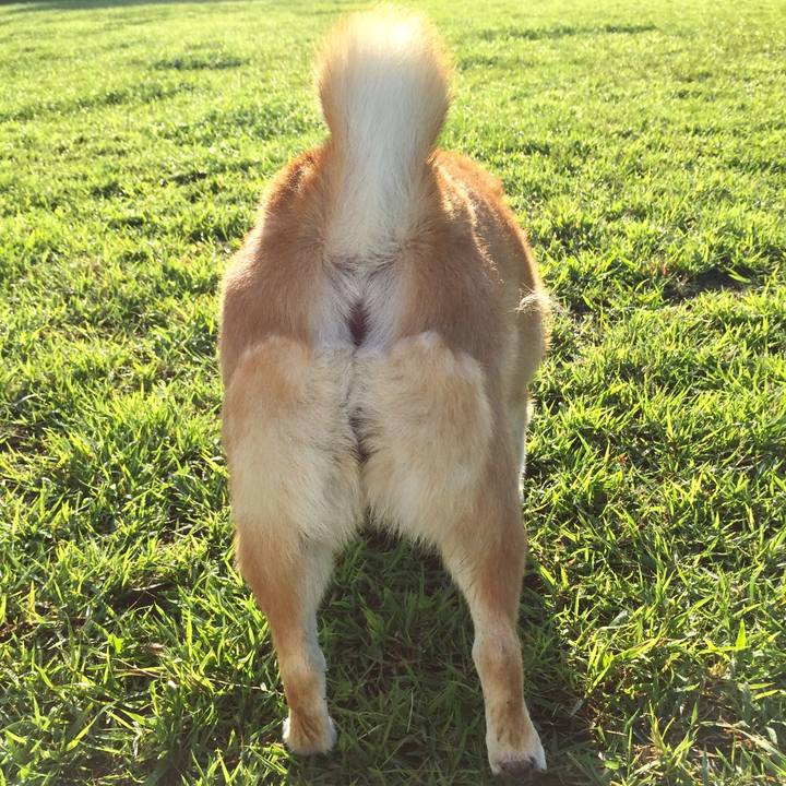 514ca570 7d75 4fb9 86ce 07b6b7e70d5c 1562978352164