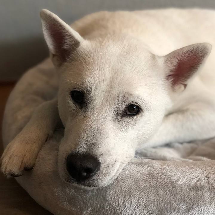 514ce320 7893 43bc 8480 d4d266f6f96a 1541000800869