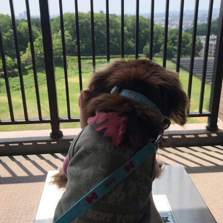 514d03a8 cdec 4456 bdaa 281b71416e2f 1589161695954