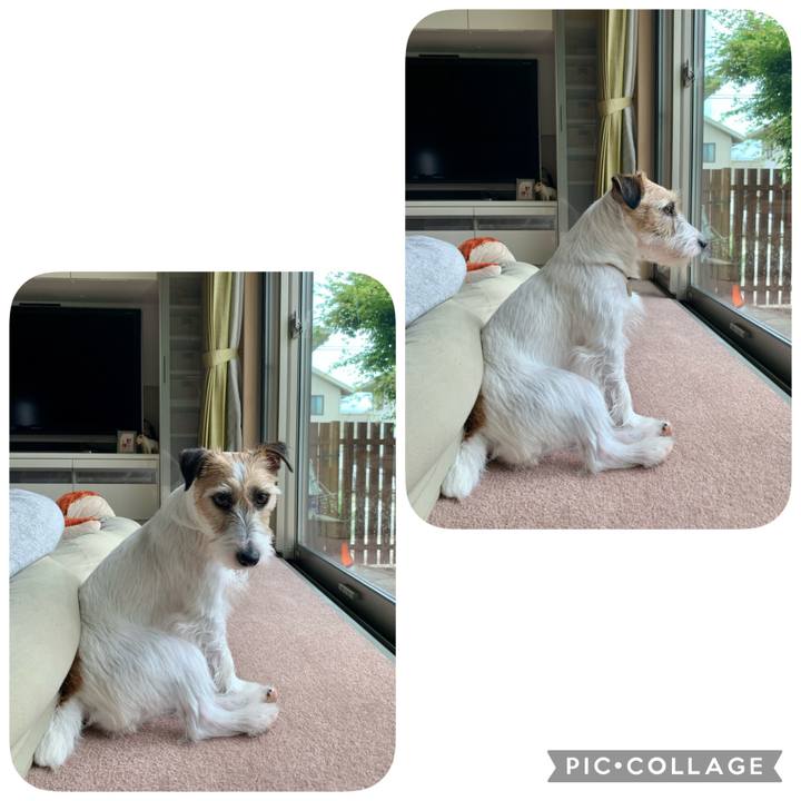 514d1992 e5a5 4b13 8118 dff05b216514 1621580812223