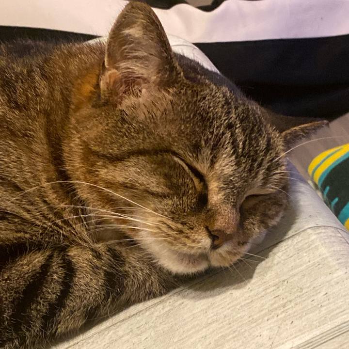 514d3485 70f7 438c 9e66 31f73e46fc77 1626455588085