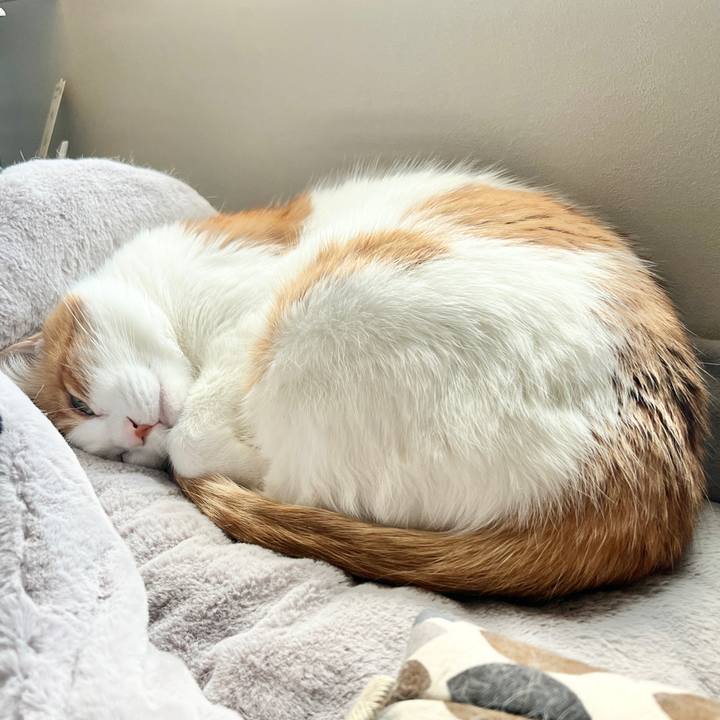 514d5d8c 11c9 4cd9 818c 93dc67d07d9e 1773554197413