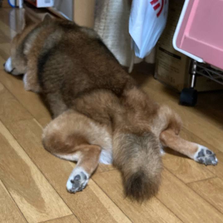 514d7d35 42c5 42e7 8840 0fddf590fc80 1694936094075