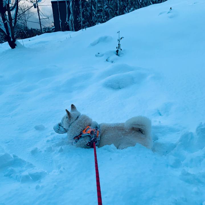 514d87e2 34ea 4d80 beed 36046ad98787 1637824723343