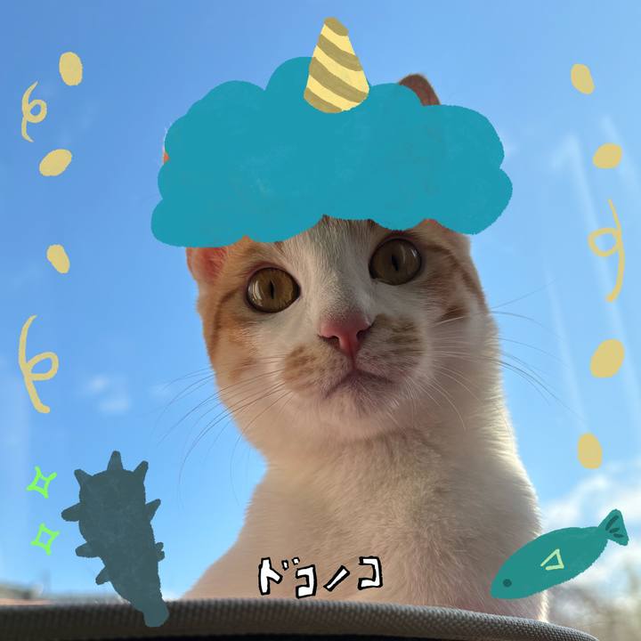 514e42ac 5f73 469d abb4 bae74ba9bd4f 1706921771526