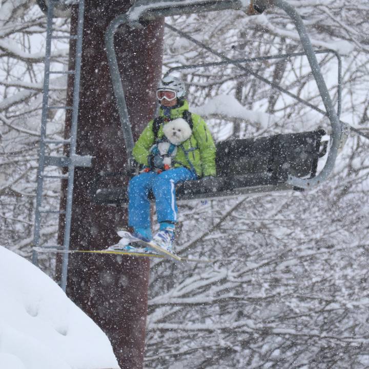 514e4c4d b104 4a5c b5c7 da95272798b3 1548482066414