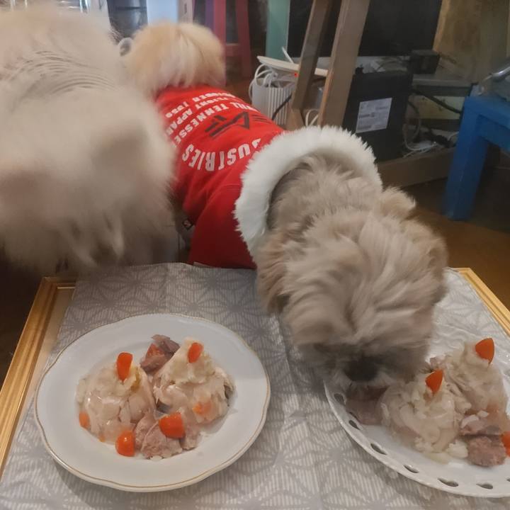 514e5ff8 713b 4106 97a9 eb7cca6be9b7 1766394638086