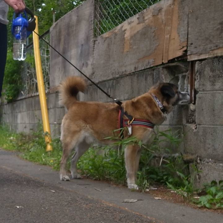 514e68a9 4ea3 4815 a2cb ce21befb1b67 1605657736689