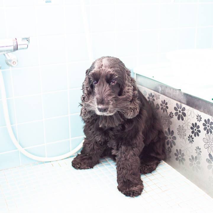 514e7ee9 db2c 427f a17c af8c168d1750 1554945385470