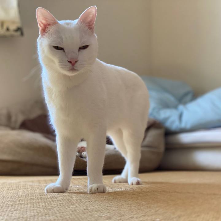 514e8809 2a80 4178 8701 36769fb1d0c0 1602377995600