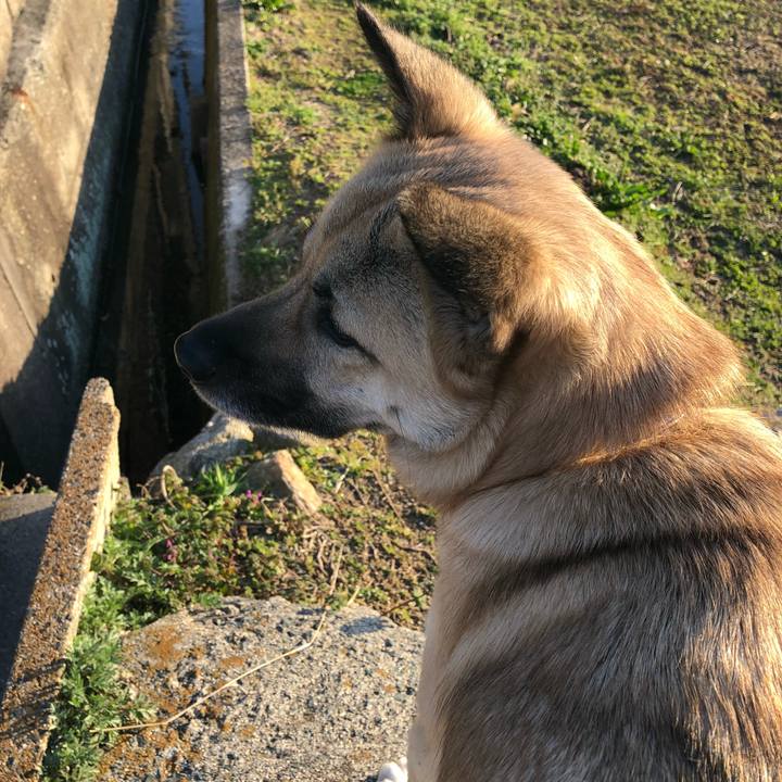 514eb072 2715 4280 be55 98d9666d8e69 1520342206048