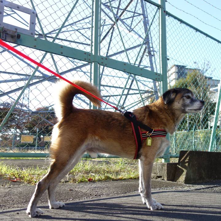 514ec3d2 f9fe 4964 850b a204c608420d 1574295677912