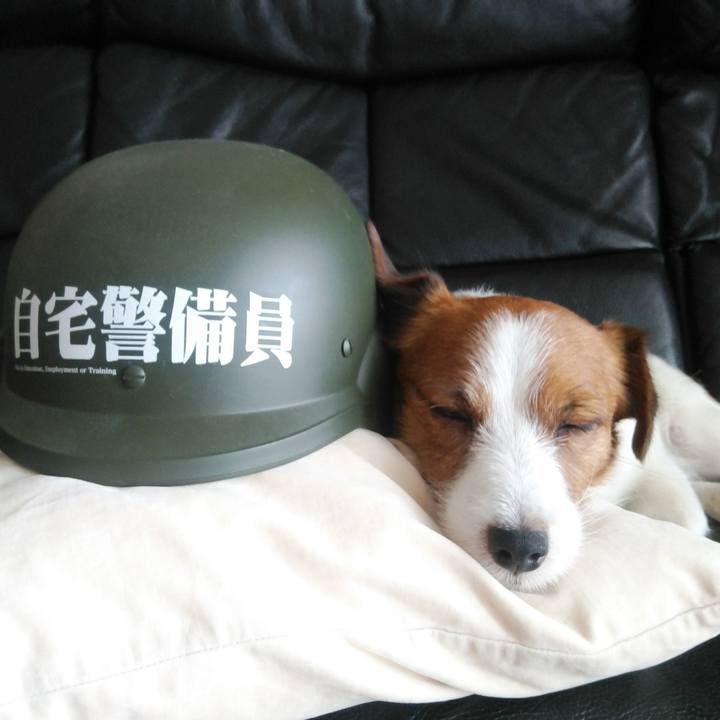 514edeec c0b5 4494 8895 d156bdeccb8a 1531986454806