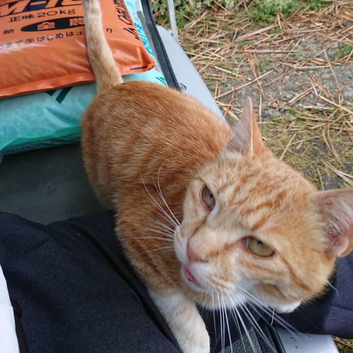 514ee1c3 ab12 4987 b95f f3d40384b486 1590222632119