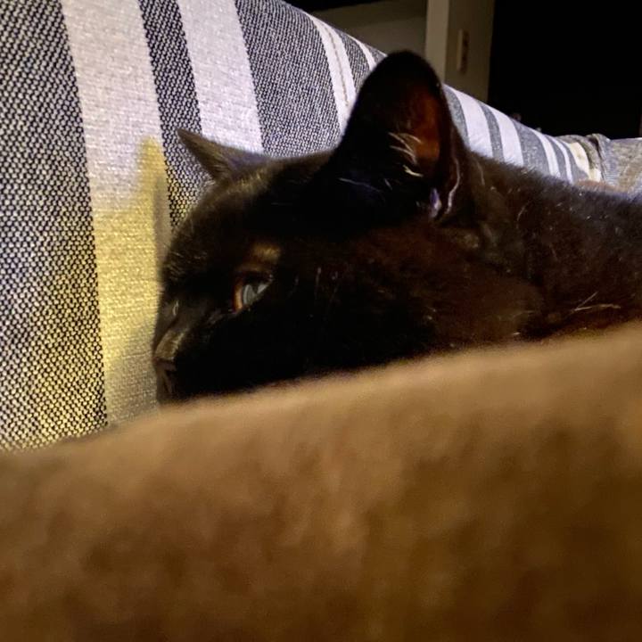 514eec6f adfb 4b0a 9b3b 92178e272f42 1770639855664