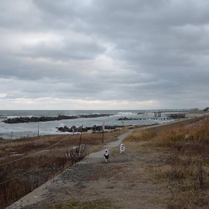 514eeec3 3579 4d56 b803 ac9a7edb3822 1511760217361