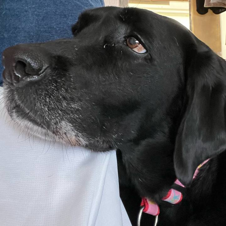 514f15a2 c7d0 4496 adac a03af0e222d8 1692922656671