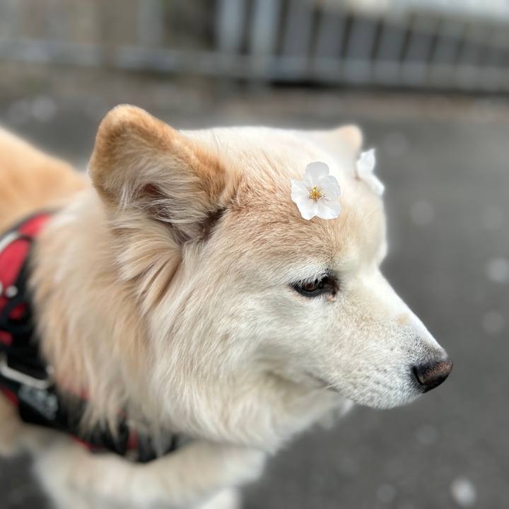 514f2597 754b 48ba 815e 4c47e0881408 1744331887208