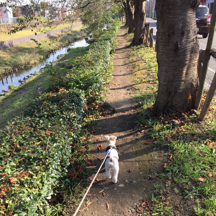 514f2d9c e51d 407a a0ea 41572b9d8b94 1540625774480