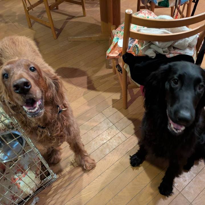 514ff209 2f87 4ea0 8299 de849b7b6b72 1765007264852