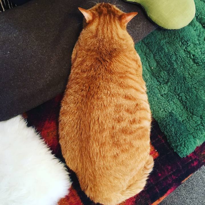 514ff7b3 ecab 448c 9511 c7e02152c7a4 1551775575032