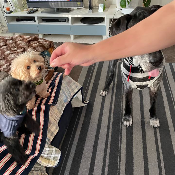 514ff868 0a9e 4b39 affc 7e40e904b261 1646950682216