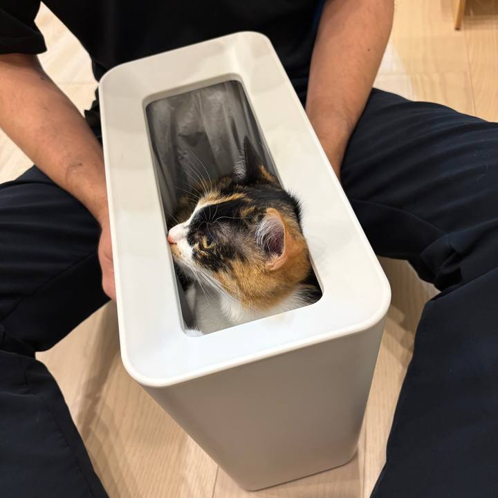 51500f8e 871d 4262 8bf7 6d390ff029bc 1770472080553