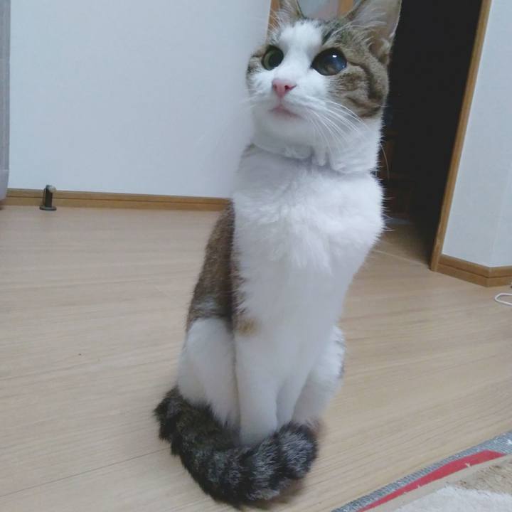 515033f7 31bd 400d 85b0 a580b598aa7c 1545389738628