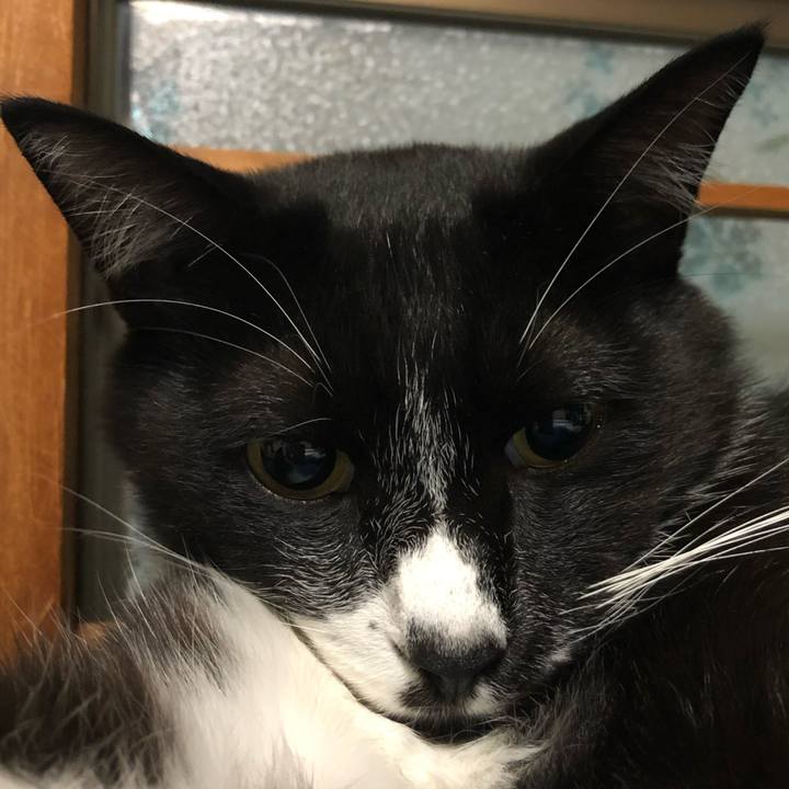 5150a98b 671e 4f10 9528 90382da0df83 1663999557603