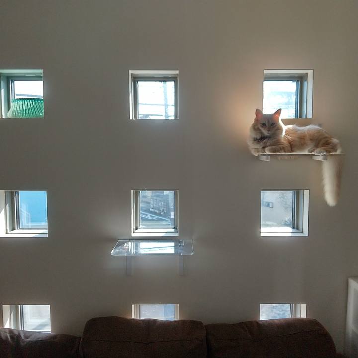 5150b245 f4e2 46c2 a41c d34490302266 1633307378026