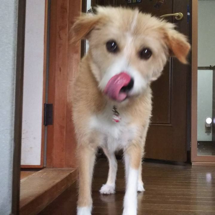 5150c983 9c07 48c4 ba6f 695d20df28d6 1530143779481