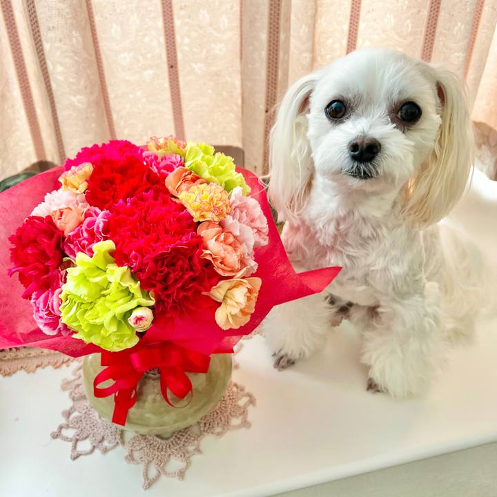 515112ea f760 4bf6 9ce1 4171c6328852 1676347336060