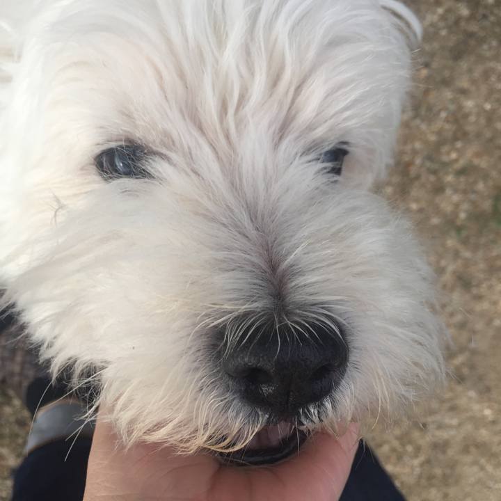 51517b14 d620 4fa6 a6d6 4604ecc83393 1531123410060